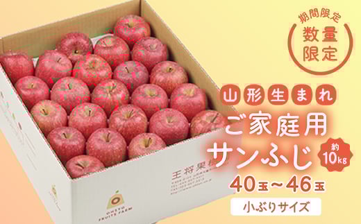 《先行予約 2025年度発送》【王将果樹園】ご家庭用サンふじ 10kg  りんご リンゴ 林檎 デザート フルーツ 果物 くだもの 果実 食品 山形県 FSY-1907