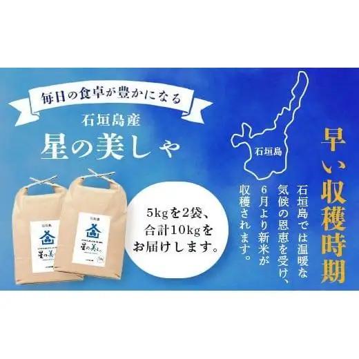石垣島産 星の美(かい)しゃ 10kg みやぎ米屋 　MK-4 