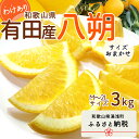 【ふるさと納税】【限定】 【先行予約】和歌山県有田産 八朔 3kg 訳あり (M～2Lサイズおまかせ)