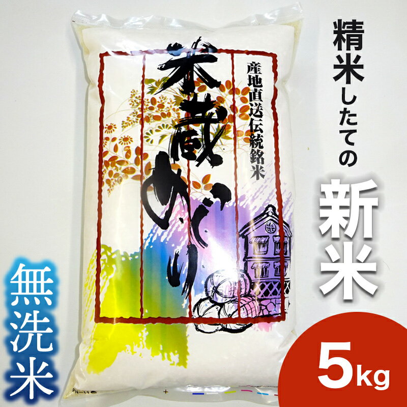 【ふるさと納税】＼新米／ 米 5kg 無洗米 こしひかり 【令和7年産】 お米 白米 コシヒカリ 無洗米5kg 茨城県 城里町【配送不可地域：離島】 (BJ026)