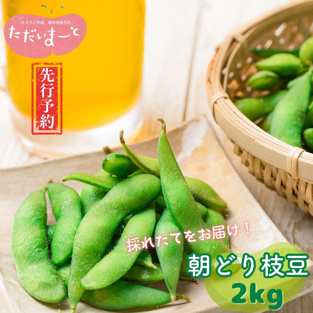 【ふるさと納税】先行予約 採れたてをお届け！朝どり枝豆 2kg (1kg×2袋) 令和8年度 新潟県産 えだまめ [JAえちご中越]【010S119】