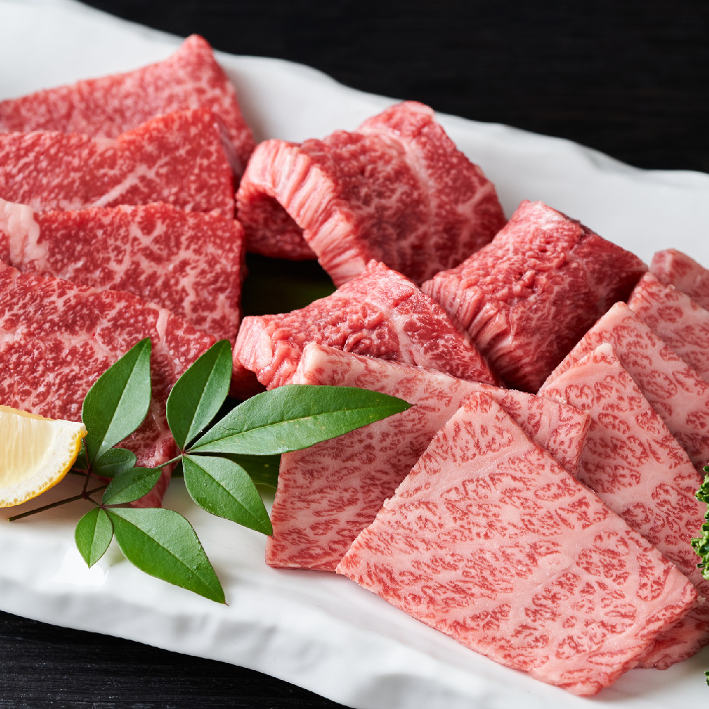 艶さし！【A4～A5】佐賀牛焼肉用 500g【肉 牛肉 ブランド牛 黒毛和牛 ふるさと納税】(H112111)