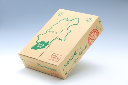 【南信州産】　南水　秀品約5kg（8玉～16玉）＜9月中旬から順次発送＞