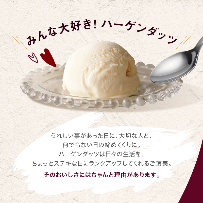 ＜全3回定期便・隔月＞ハーゲンダッツ『アソートボックス3箱セット(合計9箱)』アイスクリーム アイス スイーツ デザート_H0026-056