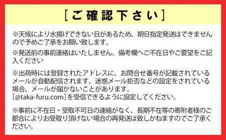 かき小屋広田湾の殻付きぽっちゃり牡蠣 12個入り 1年牡蠣 シングルシード式 三陸産