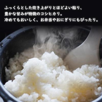 ふるさと納税 境町 新米 / 白米 《50個限定》　令和7年産 茨城県 境町産 コシヒカリ 5kg 2025年産 |  | 02