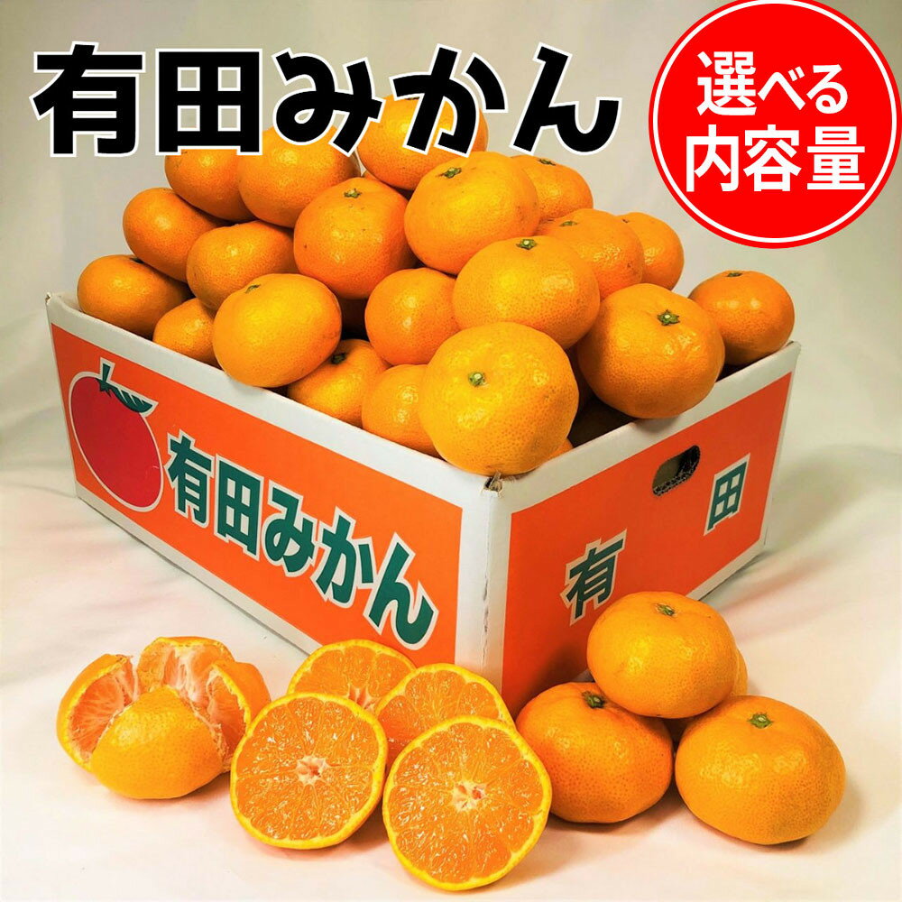 【ふるさと納税】【選べる内容量】 有田みかん 1～10kg | みかん 蜜柑 フルーツ 果物 くだもの 食品 人気 おすすめ 送料無料