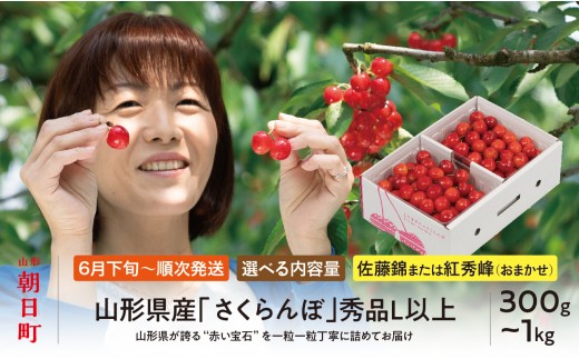 
                  山形県産 さくらんぼ （ 佐藤錦 ・ 紅秀峰 ） 秀品 L以上 選べる容量 ( 300g ・ 500g ・ 700g ・ 1kg ) 【2026年6月中旬から順次発送】 山形県 果物 サクランボ フルーツ 贈り物 ギフト 贈答 初夏 夏 先行予約 送料無料
                
