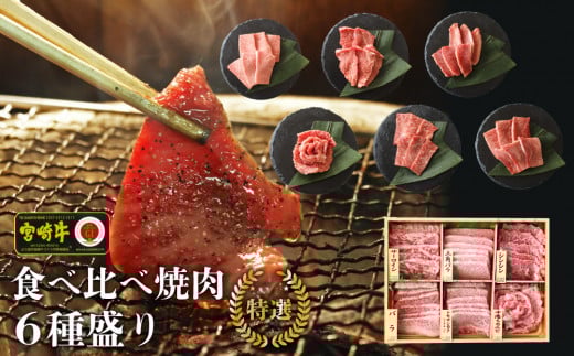 宮崎牛特選焼肉食べ比べ6種盛り（100ｇ×6種）