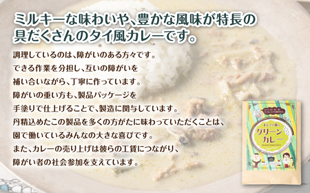 八代市 まんさく園のカレーセット (チキンカレー2パック、グリーンカレー2パック) 180g×4 カレー 美味しい 簡単 レトルト 食べ比べ