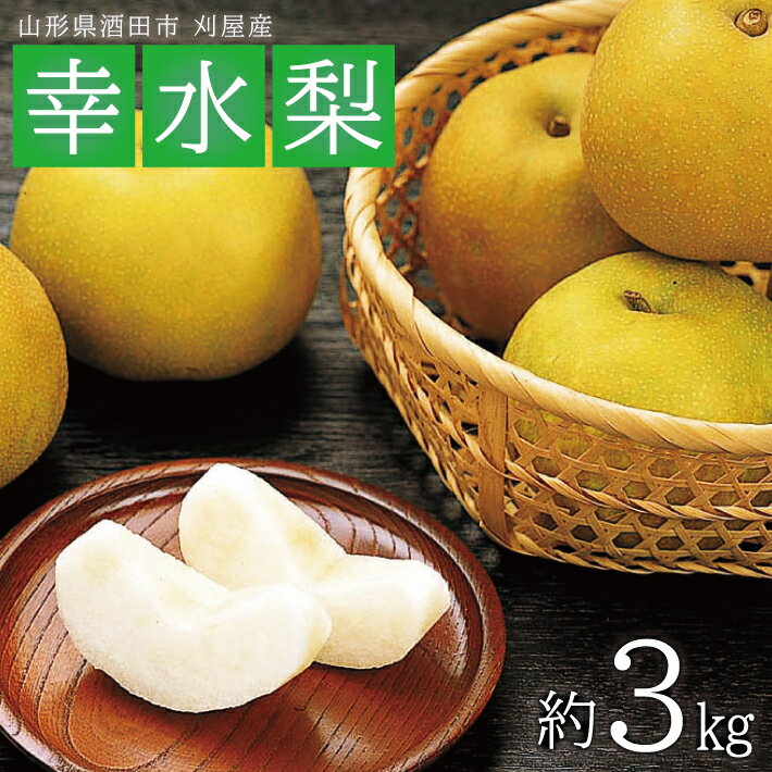 【ふるさと納税】幸水梨 約3kg 7～9玉入 山形県酒田市刈屋産 8月下旬〜9月中旬頃お届け ※着日指定不可 なし ナシ 和梨 刈屋梨 秋 果物 フルーツ 東北 山形県 酒田市 庄内