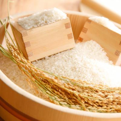 ふるさと納税 近江八幡市 【令和7年産】大粒で食べ応えあり にじのきらめき白米10kg(5kg×2【滋賀県近江八幡市・近江米】 |  | 01