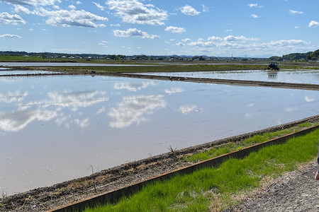 【令和7年度産】 松本さんちのお米10kg