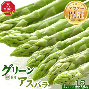 【先行予約】春収穫グリーンアスパラLサイズ（500g×3）約1.5kg（2026年6月上旬から発送開始）| アスパラ 北海道_05530