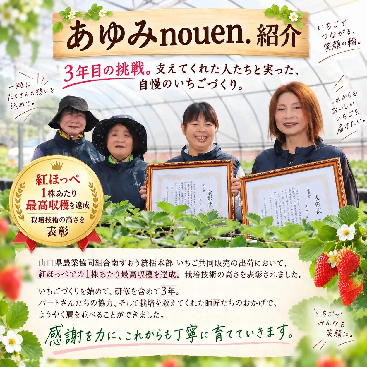 【令和8年度先行予約】【年明け発送】“苺づくりはじめました”紅ほっぺ 約480g【約240g×2パック】