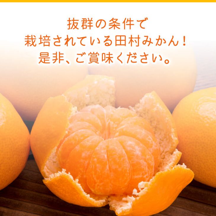 AB7430_《2025年11月～発送》【和歌山特産品】【プレミアムブランド】絶品 田村みかん 秀品 Sサイズ 約3kg