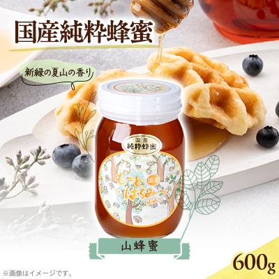 ふるさと納税 津山市 津山市産 山蜂蜜　600g