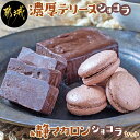 【ふるさと納税】濃厚テリーヌショコラ＆静マカロンショコラセット - カカオ分72％ チョコレート好きに 洋菓子 お菓子 おやつ スイーツ 冷凍 送料無料 LF-C206 【宮崎県都城市は2年連続ふるさと納税日本一！】