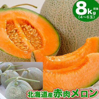 【先行受付】北海道産赤肉メロン8kg前後4～6玉入2024年7月中旬から順次発送開始予定_01982【配送不可地域：離島】【1155810】