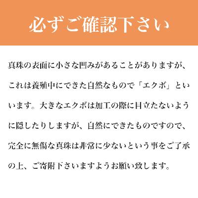 ふるさと納税 嘉麻市 WG(K18)あこや真珠ステーションネックレス　アジャスター付(40cm) |  | 03