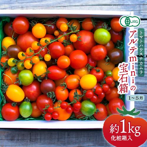 【2027年1月～5月頃発送】＜アルテminiの宝石箱 約1kg×1箱＞フルーツトマト 栽培期間中化学農薬・化学肥料不使用 トマトハウスナカムラ
