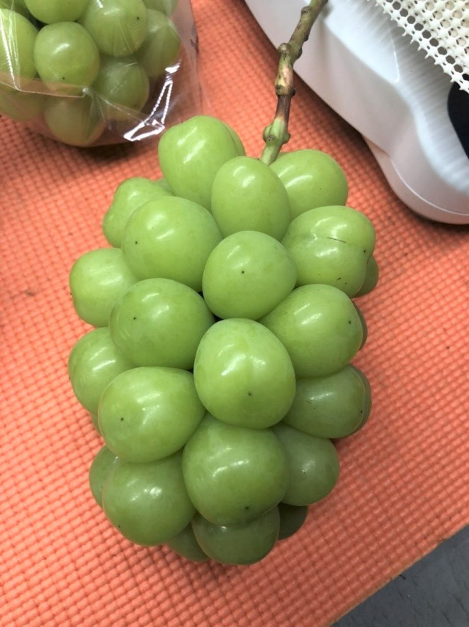 プリプリのシャインマスカットです。