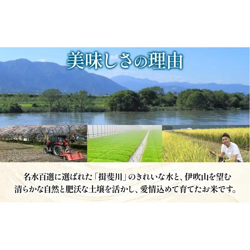 ＜ R8年産 先行予約 ＞米 ハツシモ 「高橋米」 白米 10kg×1袋 令和8年産 10キロ お米 精米 ご飯 はつしも ブランド米 大粒 炊飯 お弁当 ふっくら お取り寄せ 送料無料 Takaha