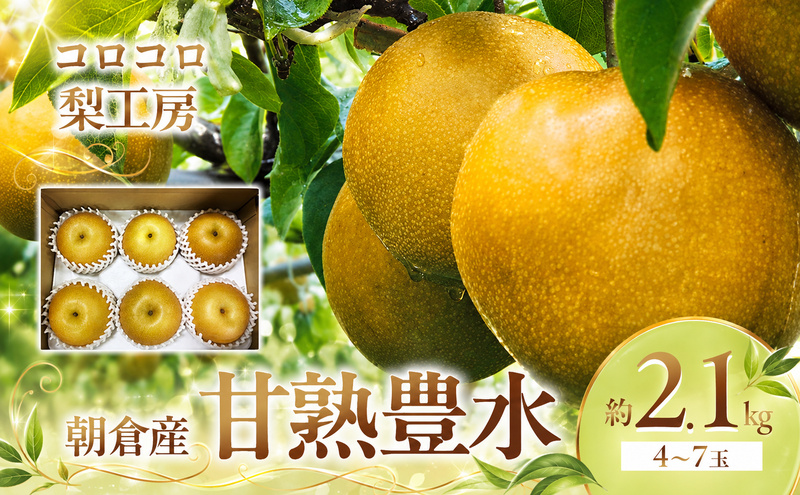 梨 豊水 まるで食べる梨ジュース！！ 甘熟 豊水梨 約2.1kg 4