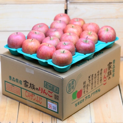 【26年4月より順次発送】平均糖度13度以上! サンふじ 約10kg 訳あり CA貯蔵 クール便【配送不可地域：離島・沖縄県】