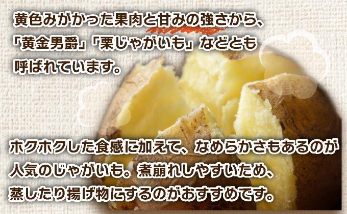＜先行予約＞北海道産 じゃがいも(北あかり) 約10kg【hjf-006】ジャガイモ 馬鈴薯 ポテト 芋 イモ きたあかり キタアカリ 野菜 人気 ふじいファーム 10kg