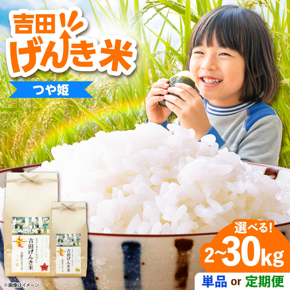 【ふるさと納税】米 「吉田げんき米」つや姫 定期便あり 選べる 内容量 2kg 5kg 10kg《内容量/お届け回数をお選びください》島根県 雲南市/有限会社藤本米穀店｜米 白米 精米 国産 お米 おこめ お弁当 おにぎり つやひめ ツヤヒメ[AIDB122]
