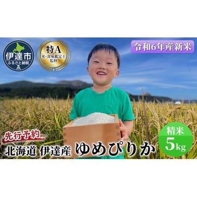 ふるさと納税 伊達市 【令和7年産】10月15日発送開始　北海道伊達市産 ゆめぴりか 5kg 精米