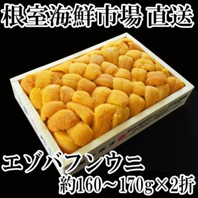 ふるさと納税 根室市 エゾバフンウニ(黄系)160〜170g×2折 D-28041