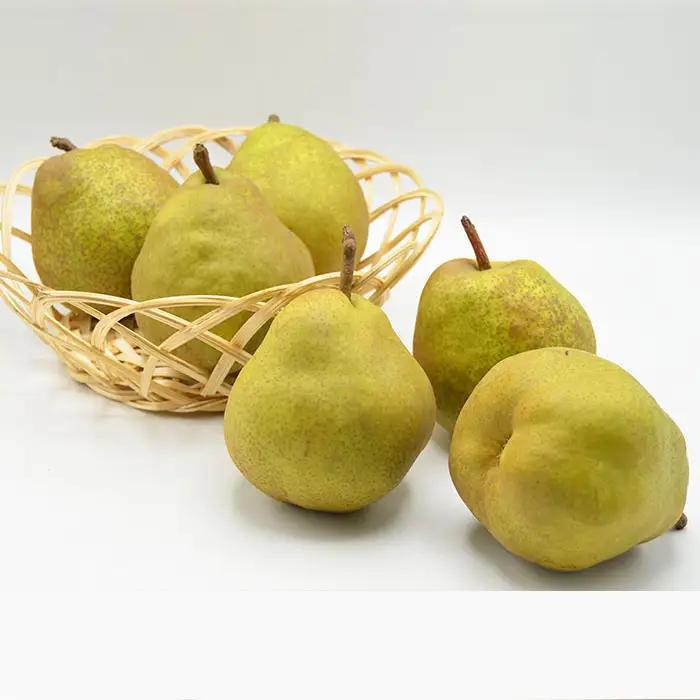 【特秀】山形の極上 ラフランス 特秀品 約5kg(12～16玉)[12月お届け]【令和8年産先行予約】FS25-781