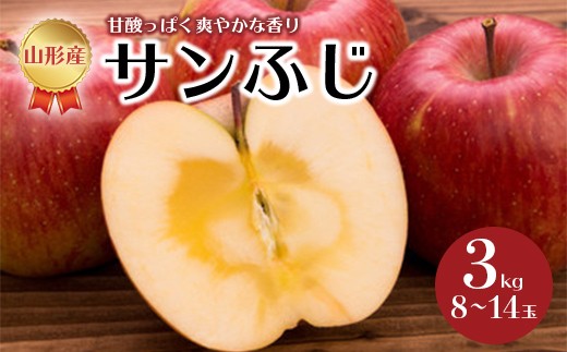 《先行予約 2026年度発送》サンふじ 3kg 8~14玉  りんご リンゴ 林檎 デザート フルーツ 果物 くだもの 果実 食品 山形県 FSY-0516