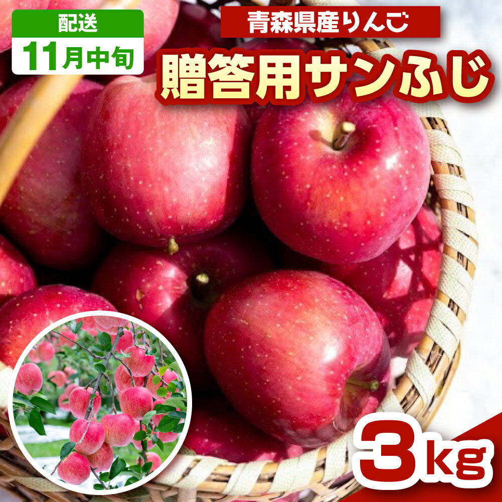 【ふるさと納税】 りんご 青森 サンフジ 3kg 程度 【 贈答用 】 農家直送 ( 配送時期が選べる： 11月 12月 ) / サンふじ 贈答 プレゼント 贈り物 林檎 リンゴ 果物 フルーツ apple 送料無料 青森県 五所川原市 ふるさと納税