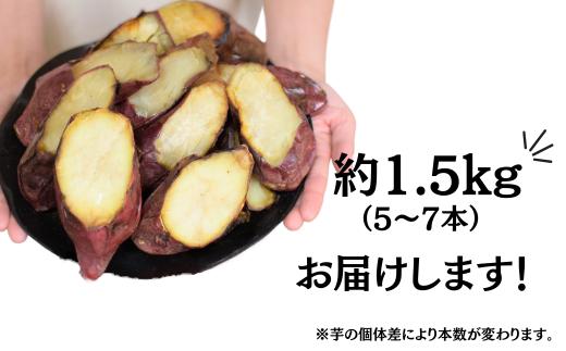 【訳あり】農家自家製 蜜 あふれる 紅はるか 冷凍焼き芋 5～7本 (約1.5kg) | 埼玉県 北本市 石焼き芋 いしやきいも ヤキイモ 焼きイモ さつまいも サツマイモ さつま芋 しっとり 真空パ