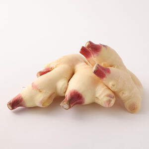 新生姜４kg（季節限定・農家直送）甘酢漬け ガリ 佃煮 ジンジャーエール ショウガ【R00445】