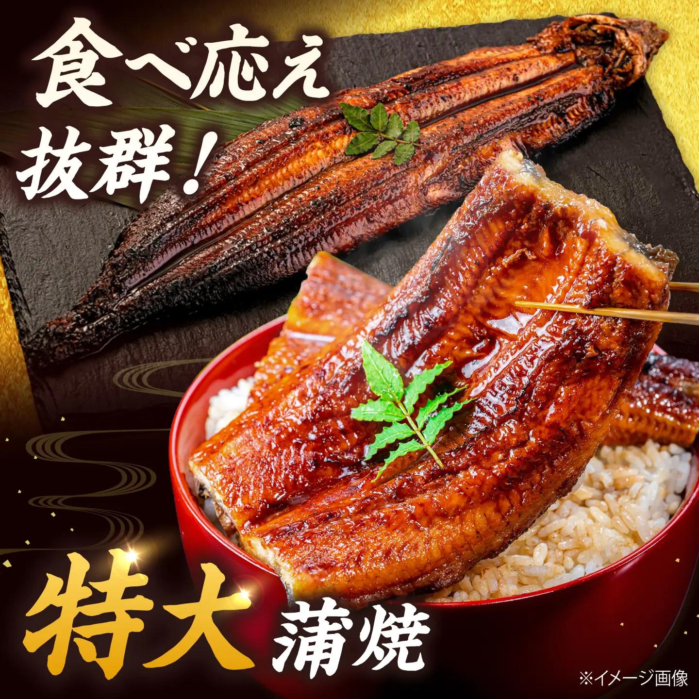 全3回定期便 特大！ 鹿児島産うなぎ 蒲焼2尾セット 桂川町/山水商事 [ADAH012] ウナギ 鰻 うなぎセット 特大鰻 定期便 特大