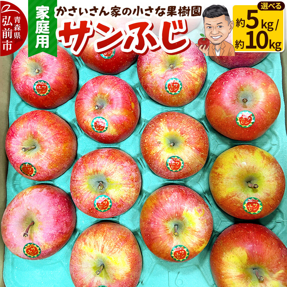 【ふるさと納税】【26年11月下旬〜／12月〜発送】りんご サンふじ【選べる約 5kg／10kg】【家庭用】 先行受付 [先行予約 アップル おいしい 果実 果物 赤色 美味]