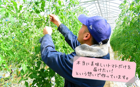 ミニトマト（プチぷよ）　バラ詰め2.0kg【6月発送】