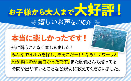南島原 イルカウォッチング  4人用チケット / イルカ 観光 南島原市 / 南島原イルカウォッチング[SAE002]