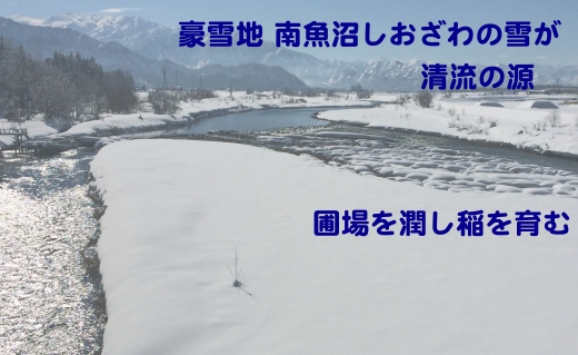 生産者限定／契約栽培 南魚沼しおざわ産コシヒカリ5Kg