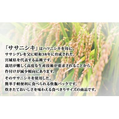 ふるさと納税 石巻市 ご飯パック 宮城県産 ササニシキ 180g×48個 パックライス パックごはん パック 宮城県 米 |  | 01