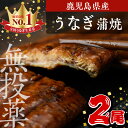 【ふるさと納税】鹿児島県産うなぎ蒲焼 (1尾あたり136g～155g×2尾、タレ・山椒付き) 鰻 ウナギ うな重 ひつまぶし かばやき 九州産 国産 冷凍 【西日本養鰻】