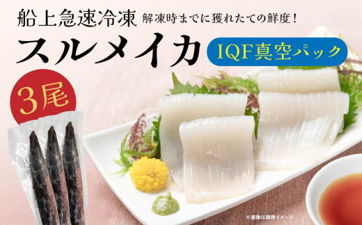 船上 急速冷凍 スルメイカ 3尾 IQF 真空パック イカ