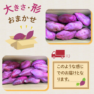 訳あり さつまいも なると金時 甘姫  (約5kg）貯蔵  1週間以内に発送