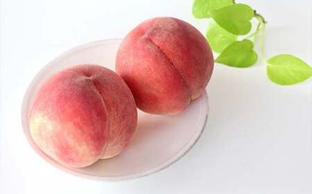 【令和7年産先行予約】 もも「美郷・あかつき・まどか 等」約3kg  (6～11玉) 《令和7年8月上旬～発送》 『生産者 高橋 賢一』 桃 モモ 果物 フルーツ 山形県 南陽市 [1981]