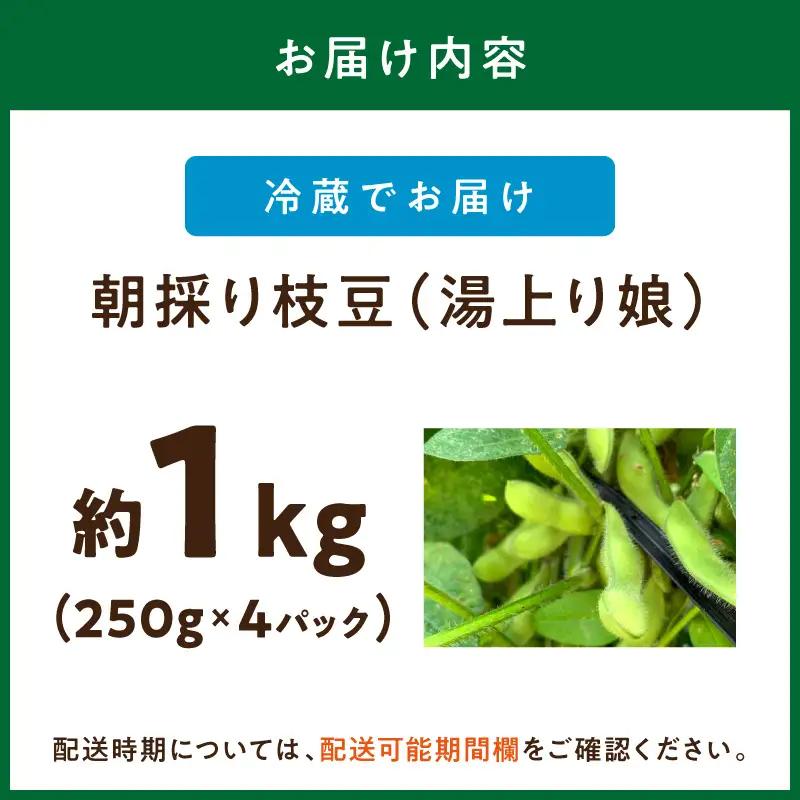 【先行予約／数量限定40】朝採り枝豆（湯上り娘）1kg（2026年7月上旬～発送）枝豆