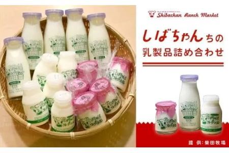 しばちゃんちの 乳製品 詰め合わせ（ 牛乳×５ 食べるヨーグルト×５ 飲むヨーグルト×５ ）柴田牧場 6174